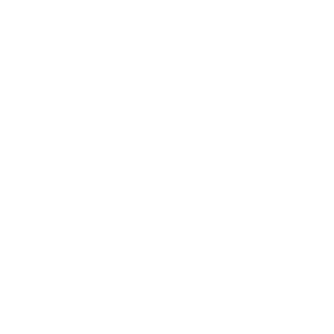 icon - Coms Backup white
