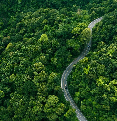 Aerial view of a winding road cutting through dense green forest and natural landscape